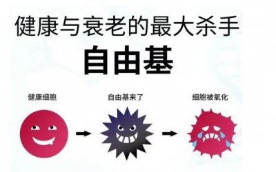 玻尿酸的作用與功效有哪些？